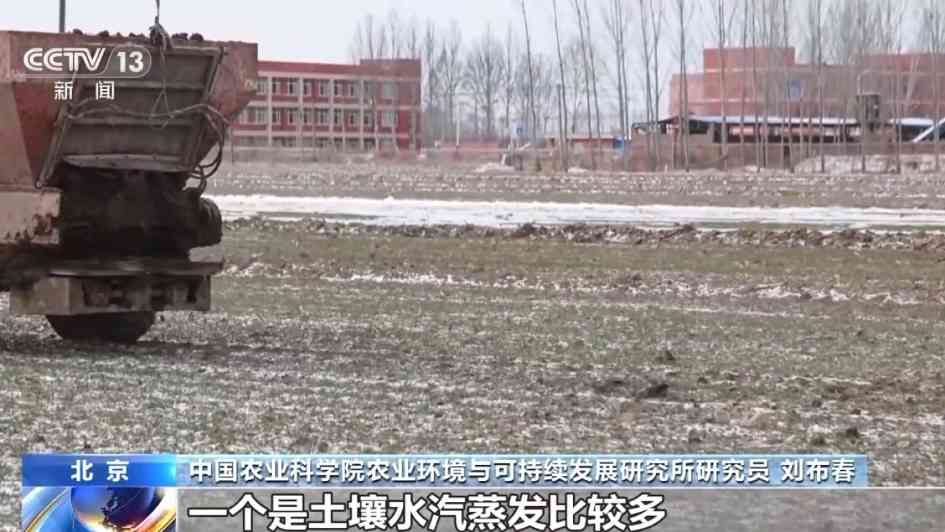 寒潮农业影响及防护措施详解