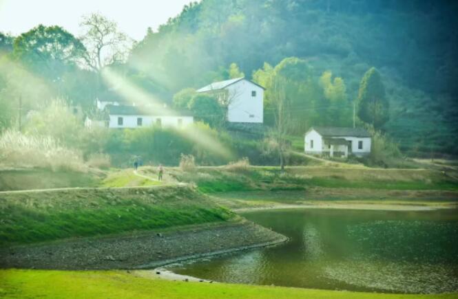 淳安生态旅游秘境:千岛湖茶乡与山野美景 乡村美图