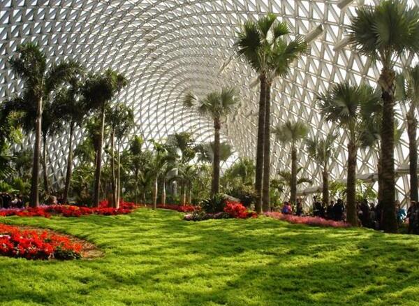 上海亲子夏日游必去景点推荐 上海辰山植物园