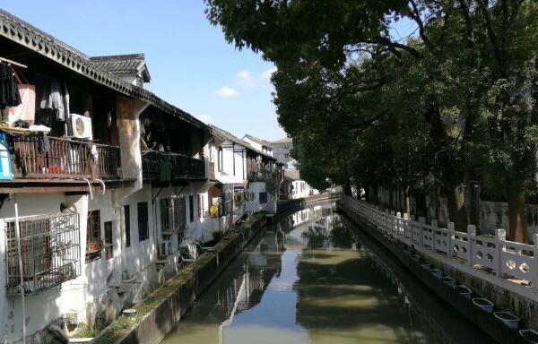 江南水乡古镇探访:古建筑与非遗美食之旅 上海庄行老街