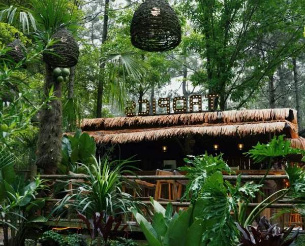 安吉轻奢露营地:美景与拍照打卡的理想之选 热带雨林咖啡