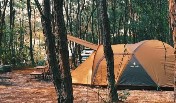 安吉轻奢露营地:美景与拍照打卡的理想之选 安吉侏罗纪营地