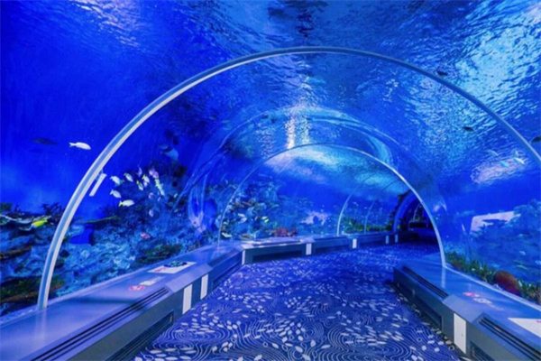 到日照海洋公园,来一次难忘的海洋之旅 海底世界