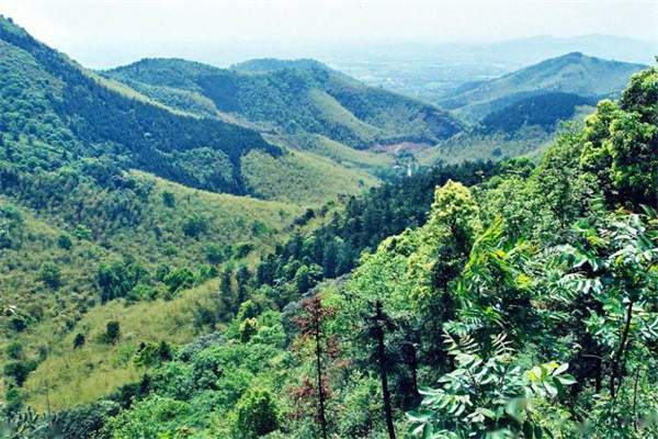 一趟意外之旅——探访东明山的宁静与美丽 东明山森林公园