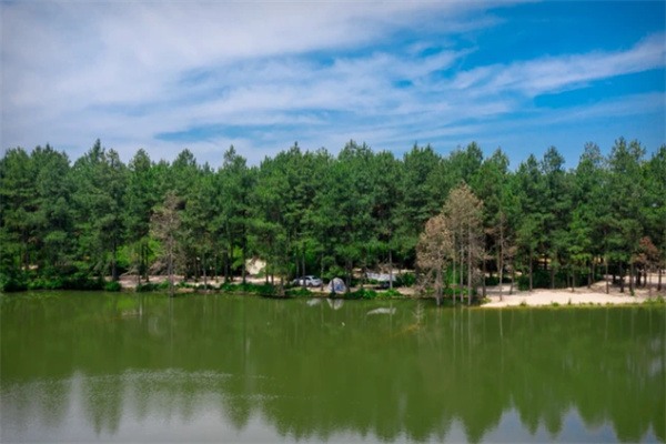 安吉·猪罗纪营地:湖畔与林间的轻奢露营体验 松林胡