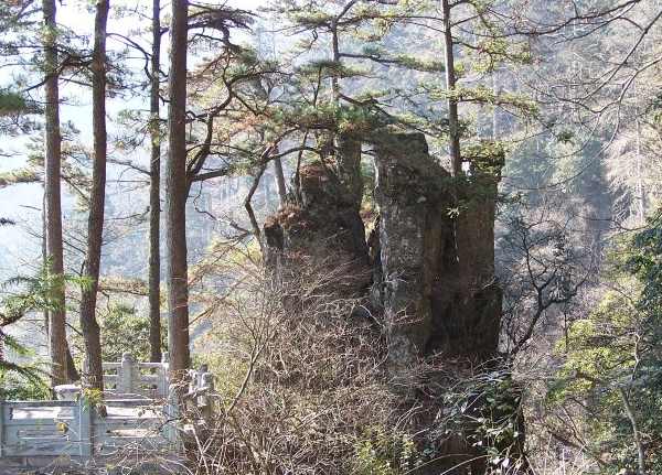 天目山倒挂莲花峰