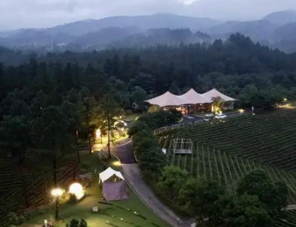 安吉森林露营攻略:三大特色营地体验推荐 九亩松风营地