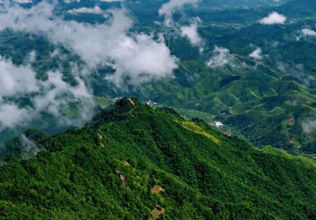 天目山国家森林公园