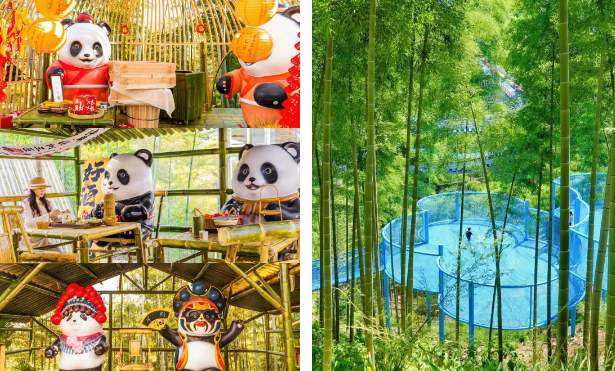 高考后福利来袭!准考证变万能钥匙享景区优惠 熊猫部落