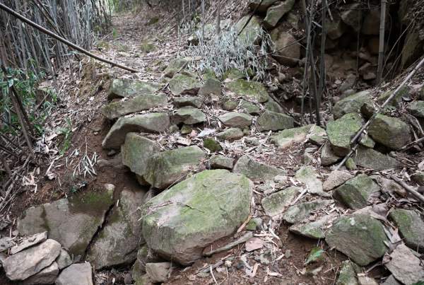 安吉西山庵遗址发现宋代文物 明代寺庙建筑保存完整 遗址风貌