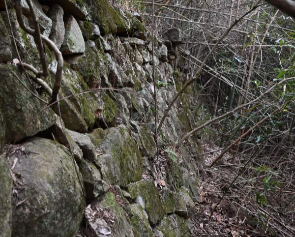 安吉西山庵遗址发现宋代文物 明代寺庙建筑保存完整 西山庵遗址