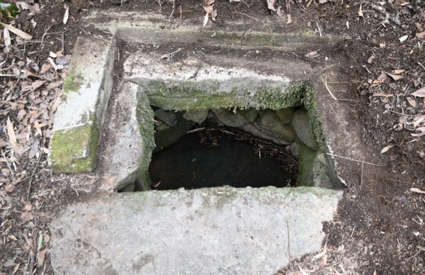 安吉西山庵遗址发现宋代文物 明代寺庙建筑保存完整 遗址水井