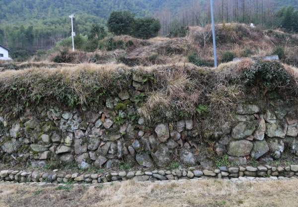 安吉树景坞梯田展现百年农耕文明壮观景象 梯田的石砌筑