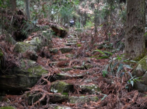 南坞山古道:明代块石铺筑的千年山间通道 古道台阶
