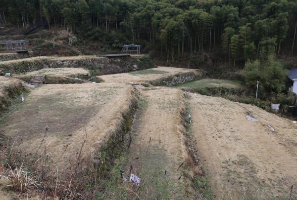 安吉树景坞梯田展现百年农耕文明壮观景象 安吉的梯田