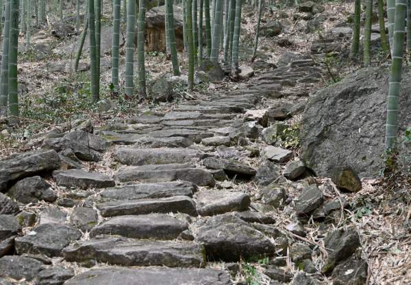 南坞山古道:明代块石铺筑的千年山间通道 南坞山古道