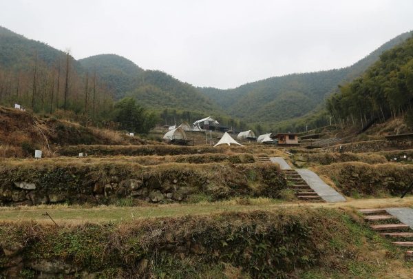 安吉树景坞梯田展现百年农耕文明壮观景象 梯田近景