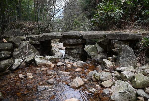 南坞山古道:明代块石铺筑的千年山间通道 古道石桥