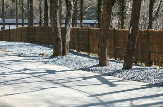 以竹代塑环保理念打造生态旅游新体验 路边竹子栅栏