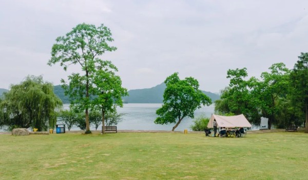 青山湖四大草坪野餐攻略,春日露营享受慢生活乐趣 荻芦湾草坪