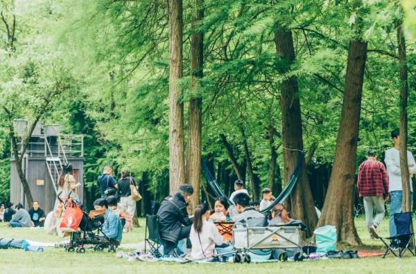 青山湖四大草坪野餐攻略,春日露营享受慢生活乐趣 水上森林野餐