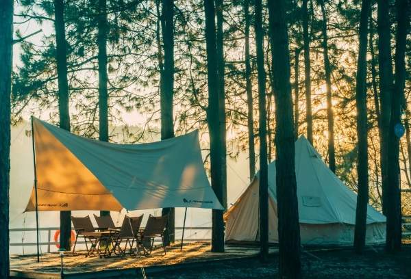 安吉春季露营攻略小杭坑半岛营地茶花岭推荐 茶花岭营地