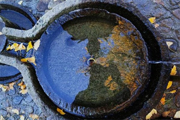 临安指南村秋色之旅:一山九舍民宿体验千年古村风情 磨盘