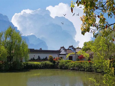 涵境园艺震撼来袭!江南山水园林意境引爆品牌传播,成就极致自然美学! 涵境园艺震撼来袭!江南山水园林意境引爆品牌传播,成就极致自然美学!