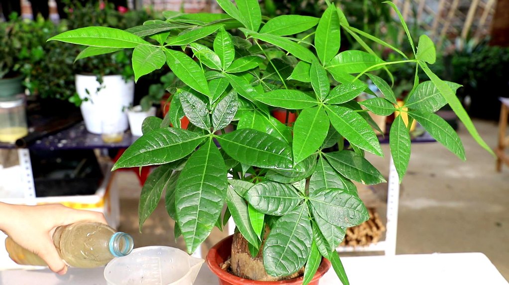 resized-7.jpeg resized-7.jpeg