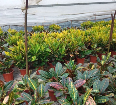 resized-1-251119192J43W.jpg resized-1-251119192J43W.jpg