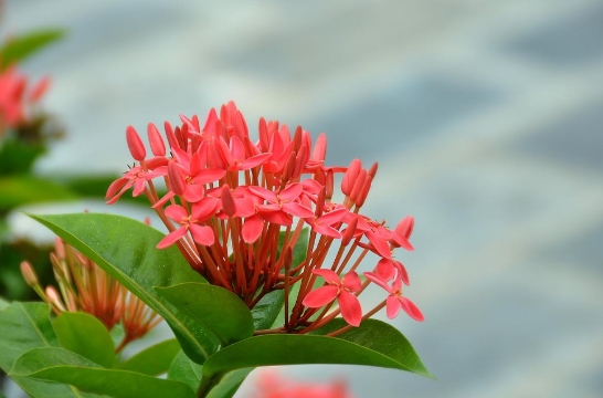 resized-1-251119191F5634.jpg resized-1-251119191F5634.jpg