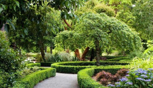 水景园艺震撼来袭!涵境园艺打造梦幻水景空间,私家庭院与商业空间完美融合! 水景园艺震撼来袭!涵境园艺打造梦幻水景空间,私家庭院与商业空间完美融合!