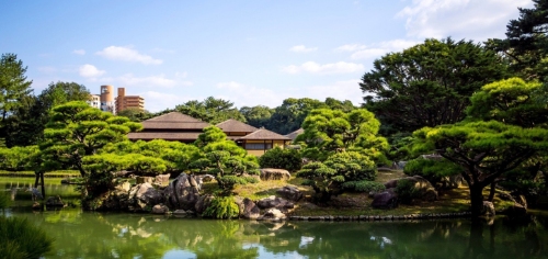 水景园艺震撼来袭！涵境园艺打造梦幻水景空间，私家庭院与商业空