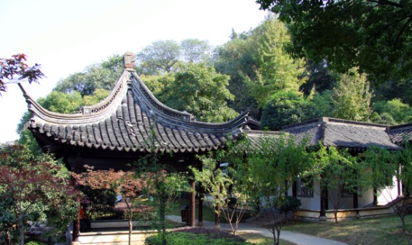 新中式园艺设计与场景化运营：涵境园艺的品牌创新