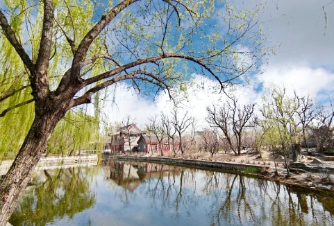 园林绿化不同等级资质承揽工程范围 resized-微信图片_20251128144856_746_39.jpg