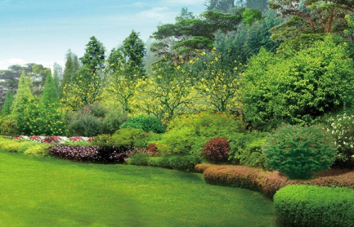 园林设计公司与绿化园林的重要性与未来趋势 resized-微信图片_20251204111835_1123_39.jpg